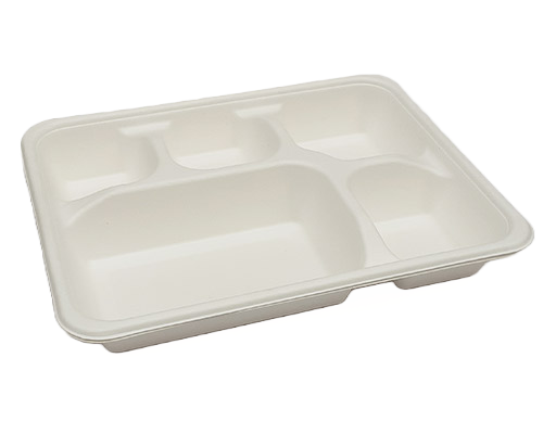 5-Portion White Meal Serving Tray for Organized Food Serving