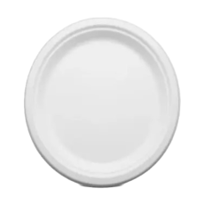 10-Inch Round White Bagasse Plate – Eco-Friendly & Durable Tableware